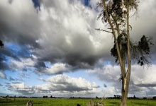 开云体育官网-雷诺车队鏖战法拉利，佩雷兹关键制胜